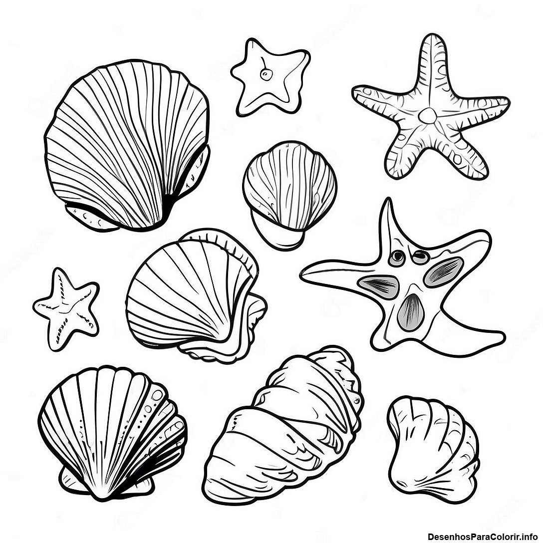 Página de colorir imprimível grátis Página Para Colorir De Conchas Do Oceano Realistas da coleção Natureza — desenho em preto e branco para crianças e adultos.