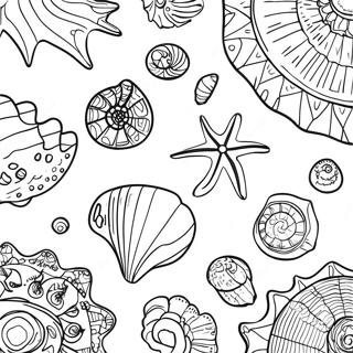 Pagina Para Colorir De Conchas Fosseis Coloridas 102350-40629