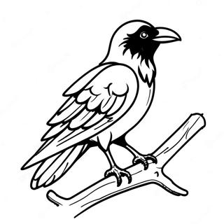 Pagina Para Colorir De Corvo Empoleirado Em Um Galho Páginas Para Colorir