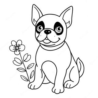 Pagina Para Colorir Filhote De Boston Terrier Fofo 105639 43194