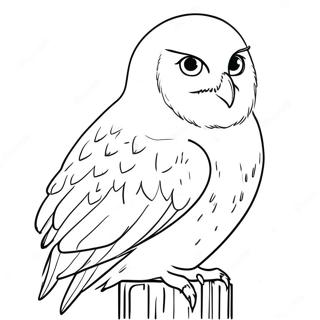 Pagina Para Colorir Da Hedwig 105871-43366