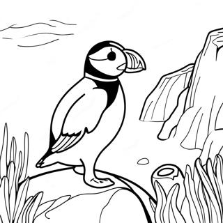Pagina Para Colorir De Puffin Rock 106206-43628
