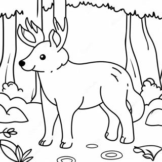 Pagina Para Colorir De Animais Da Floresta 106386-43766