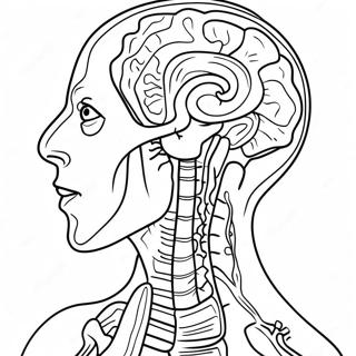 Anatomia E Fisiologia Páginas Para Colorir