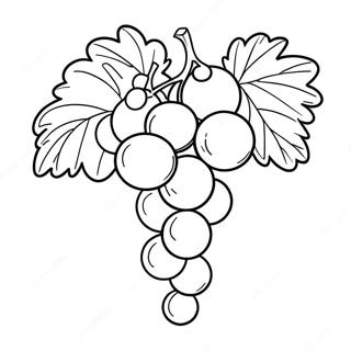 Pagina Para Colorir De Uvas Roxas Suculentas 107794-44873