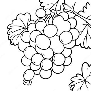 Pagina Para Colorir De Uvas Roxas Suculentas 107794-44874