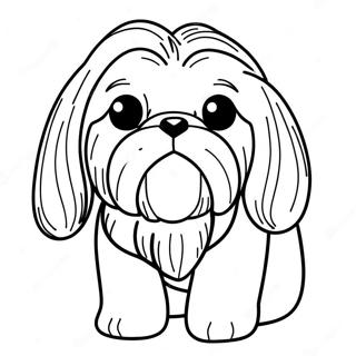 Shih Tzu Páginas Para Colorir