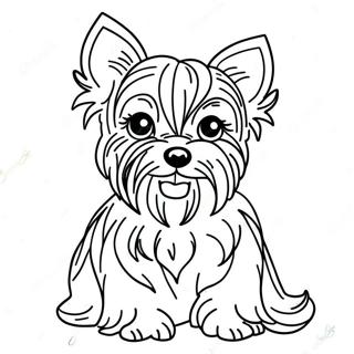 Yorkie Realista Páginas Para Colorir