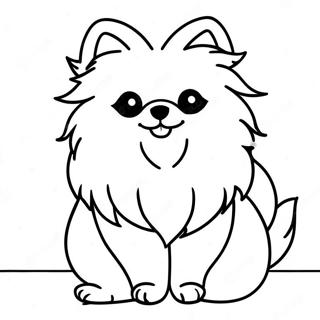 Pomeraniano Páginas Para Colorir