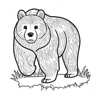 Pagina Para Colorir Do Urso Pardo 119990-54828