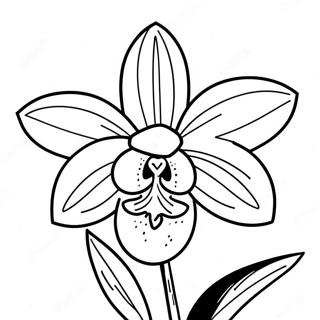 Pagina Para Colorir De Flor De Orquidea Bonita 120554-55271