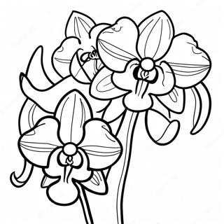 Pagina Para Colorir De Especies Exoticas De Orquidea 120555-55274