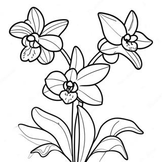 Pagina Para Colorir De Especies Exoticas De Orquidea 120555-55275