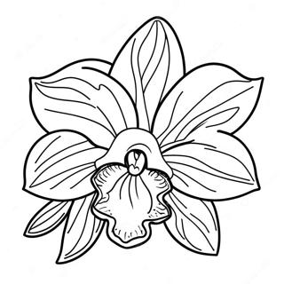 Pagina Para Colorir De Especies Exoticas De Orquidea 120555-55276