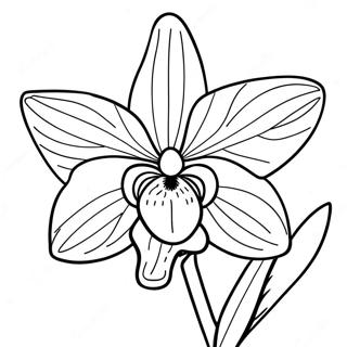 Pagina Para Colorir De Orquidea Rosa Delicada 120557-55281