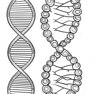 Pagina Para Colorir De Estrutura De Dna 129942-63010