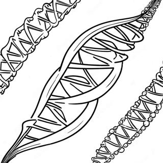 Pagina Para Colorir De Estrutura De Dna 129942-63011