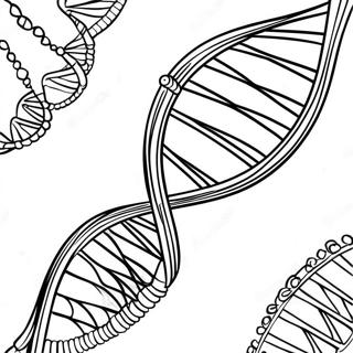 Pagina Para Colorir De Estrutura De Dna 129942-63012