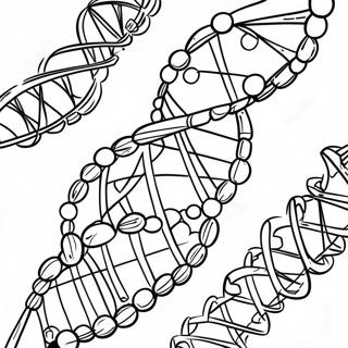 Pagina Para Colorir De Molecula De Dna Com Bases 129945-63022