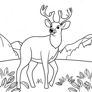 Pagina Para Colorir Do Veado Buck Com Chifres 131231-64016