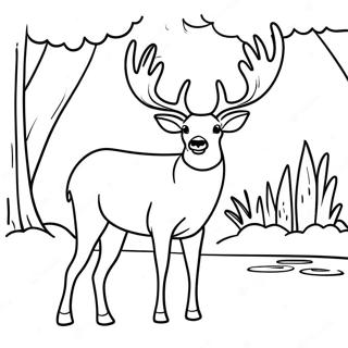 Pagina Para Colorir Do Veado Buck Gentil Bebendo Agua 131232-64017