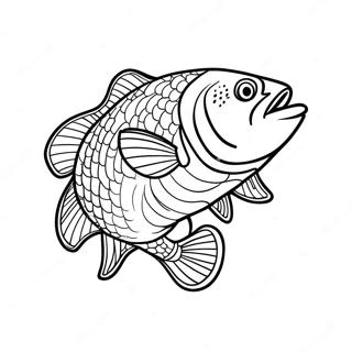 Desenho Para Colorir De Pesca De Bass 131588-64287