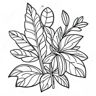 Pagina Para Colorir De Ervas 134492-66542