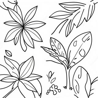 Pagina Para Colorir Plantas Coloridas Da Floresta Tropical 139440-70567