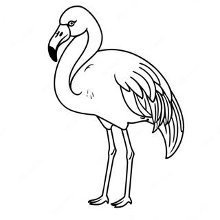 Pagina Para Colorir Do Elegante Flamingo Em Pe Em Uma Perna 25711-5602