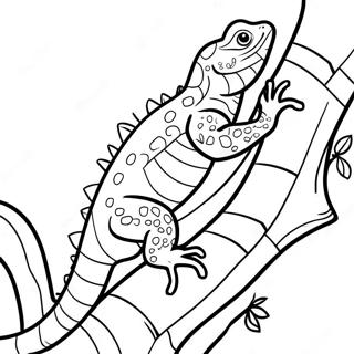 Lagarto Colorido Subindo Em Uma Arvore Colorindo 27192-5916