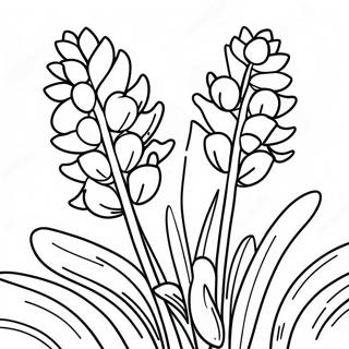 Pagina Para Colorir Do Bluebonnet Colorido Do Texas 46421-10157