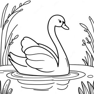 Cisne Páginas Para Colorir