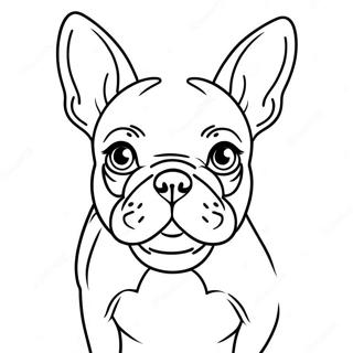 Bulldog Francês Páginas Para Colorir