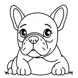 Bulldog Frances Para Colorir 72336-16107