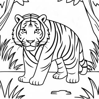 Tigre Feroz Espreitando Na Selva Pagina Para Colorir 75115-18281