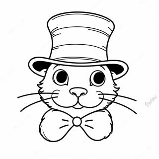 Gato Maluco Do Chapeu Pagina Para Colorir 80465-22398