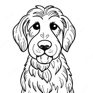 Goldendoodle Páginas Para Colorir