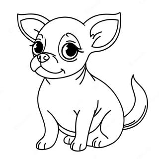 Chihuahua Páginas Para Colorir