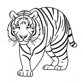 Tigre Páginas Para Colorir