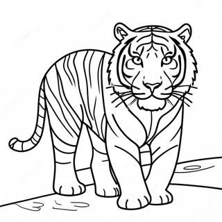 Tigre Listrado Caminhando Pagina Para Colorir 9116 106