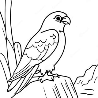 Pagina Para Colorir Do Falcao Peregrino Ninho Em Um Penhasco 99241-37904