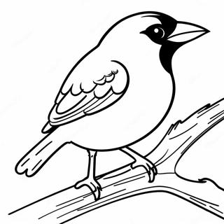 Pagina Para Colorir Dos Orioles Com Penas Brilhantes 99397-38032